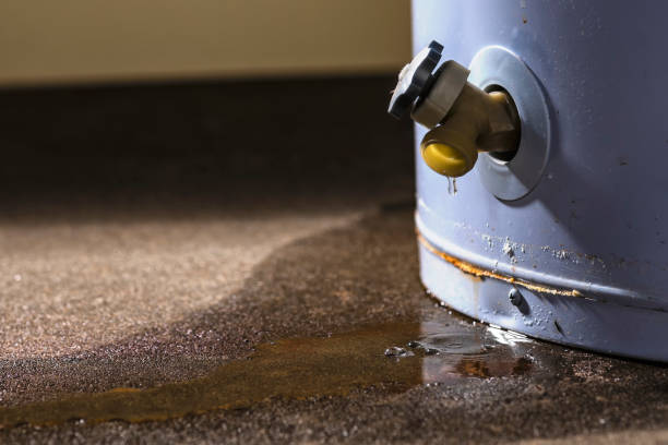 Best Local water damage restoration  in Universal City, TX
