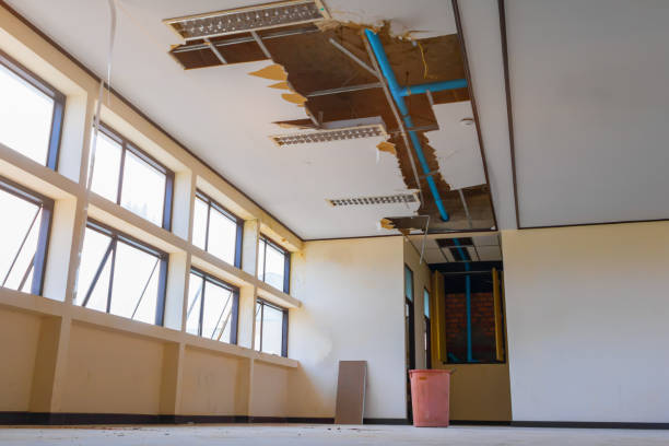 Best Flood damage cleanup  in Universal City, TX