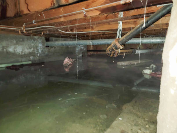Best Water damage restoration near me  in Universal City, TX