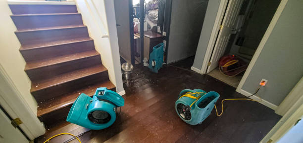 Best Commercial water damage restoration  in Universal City, TX
