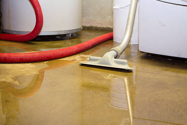 Water damage restoration experts in Universal City, TX