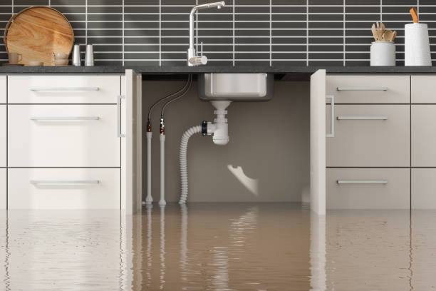 Best Ceiling water damage repair  in Universal City, TX