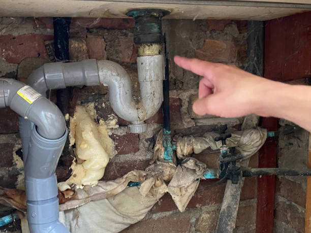 Best Basement water damage restoration  in Universal City, TX
